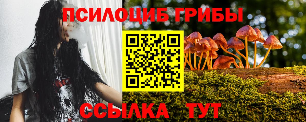 Ярославль  Галлюциногенные грибы GOLDEN TEACHER  Псилоцибиновые грибы GOLDEN TEACHER  Вход с VPN 